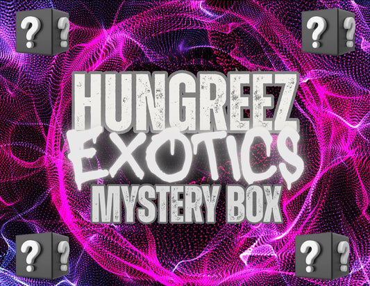 Mystery Box
